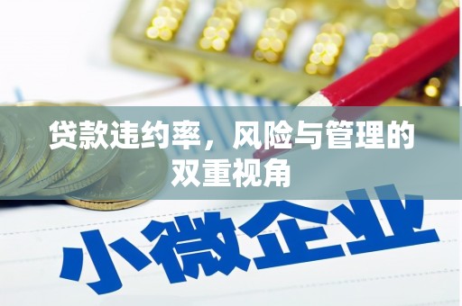 杭锦后旗贷款违约率，风险与管理的双重视角