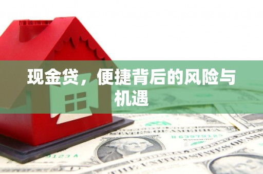 大树现金贷，便捷背后的风险与机遇