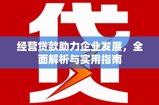 临沧经营贷款助力企业发展，全面解析与实用指南