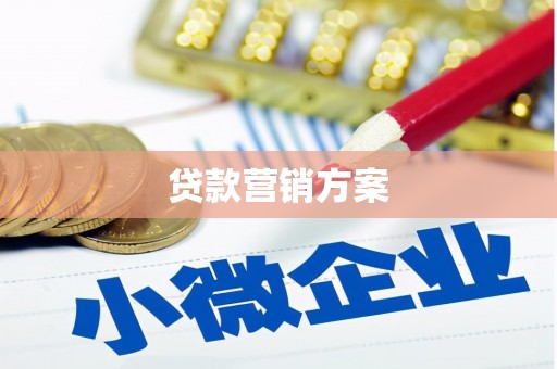 柳河贷款营销方案
