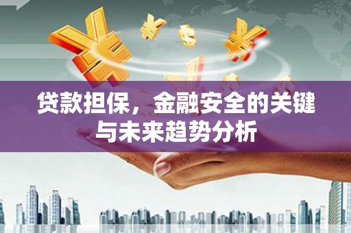 卢氏贷款担保，金融安全的关键与未来趋势分析