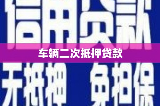 额济纳旗车辆二次抵押贷款
