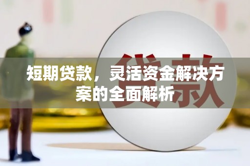 天元短期贷款，灵活资金解决方案的全面解析