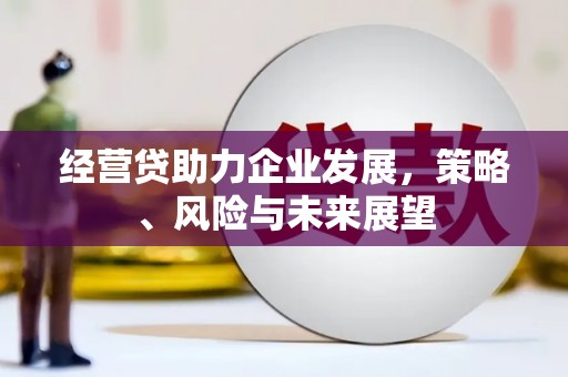 莫旗经营贷助力企业发展，策略、风险与未来展望