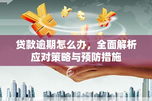 滑县贷款逾期怎么办，全面解析应对策略与预防措施