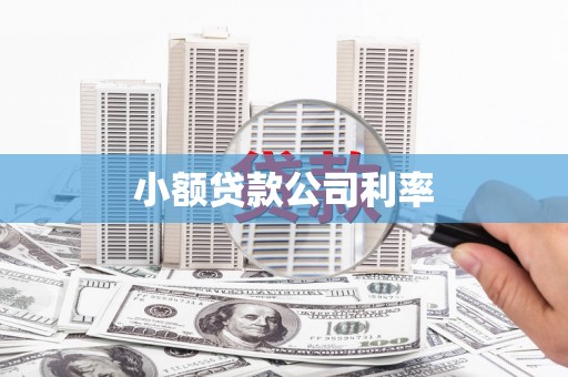 宣汉小额贷款公司利率
