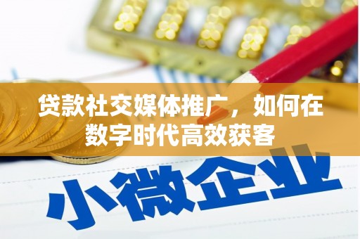 大丰贷款社交媒体推广，如何在数字时代高效获客