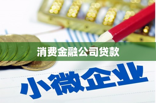 芦溪消费金融公司贷款