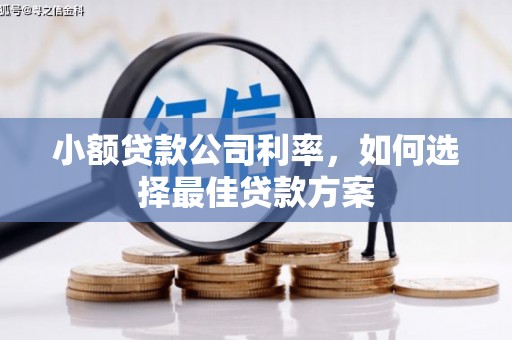 达孜小额贷款公司利率，如何选择最佳贷款方案