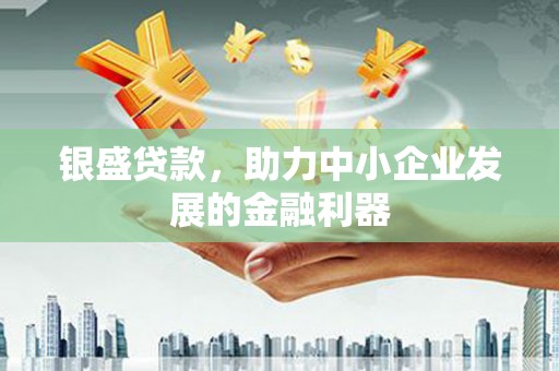 延平银盛贷款，助力中小企业发展的金融利器