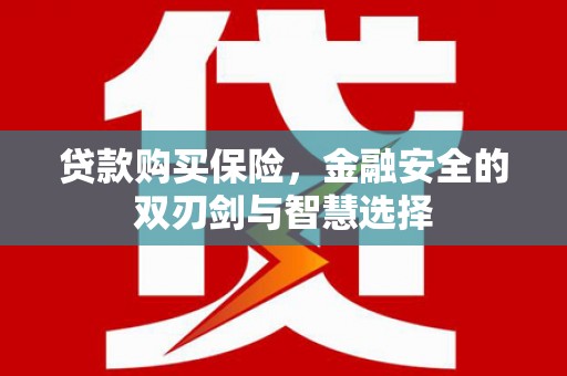 新林贷款购买保险，金融安全的双刃剑与智慧选择