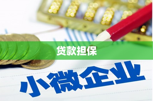 府谷贷款担保