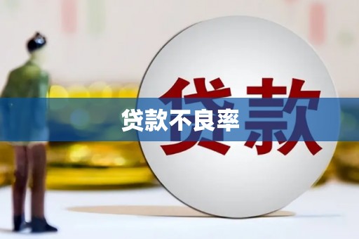 泰安贷款不良率