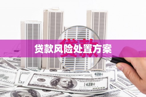颍上贷款风险处置方案