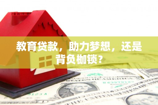 平乡教育贷款，助力梦想，还是背负枷锁？