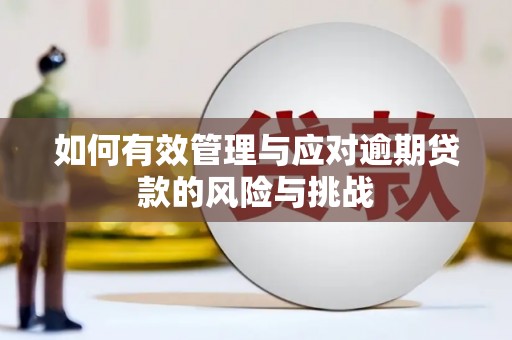 浦江如何有效管理与应对逾期贷款的风险与挑战