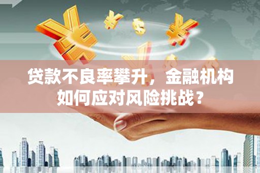 青冈贷款不良率攀升，金融机构如何应对风险挑战？