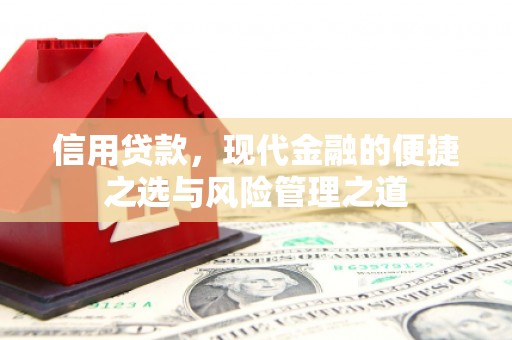 盐湖信用贷款，现代金融的便捷之选与风险管理之道