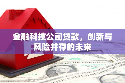 海盐金融科技公司贷款，创新与风险并存的未来