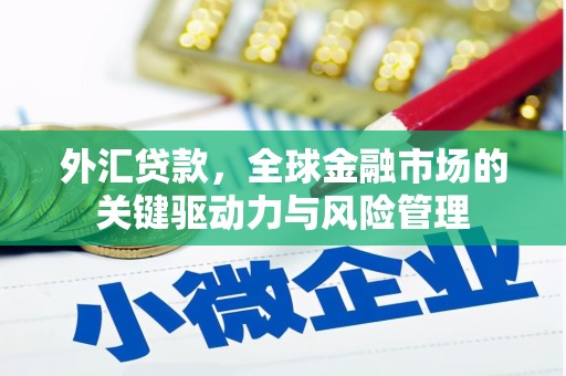 闵行外汇贷款，全球金融市场的关键驱动力与风险管理