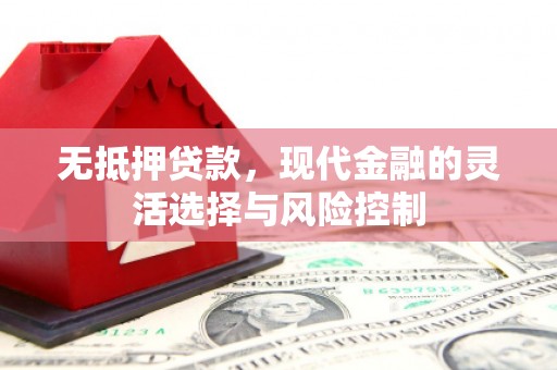 石龙无抵押贷款，现代金融的灵活选择与风险控制