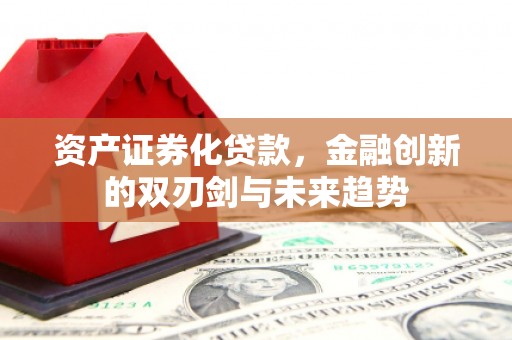 岭东资产证券化贷款，金融创新的双刃剑与未来趋势