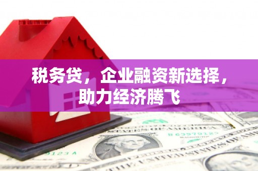 伽师税务贷，企业融资新选择，助力经济腾飞