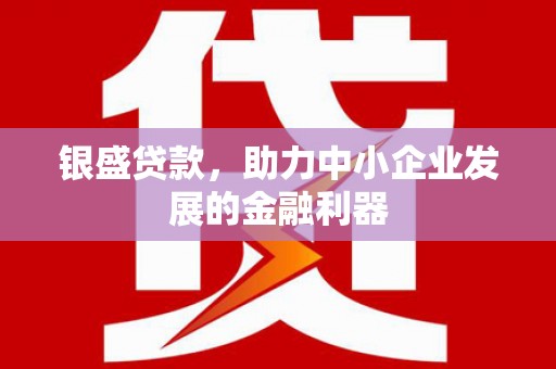 田林银盛贷款，助力中小企业发展的金融利器