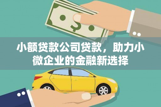 方山小额贷款公司贷款，助力小微企业的金融新选择