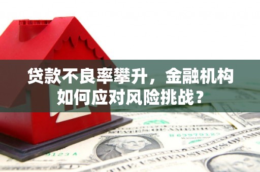 新埔贷款不良率攀升，金融机构如何应对风险挑战？