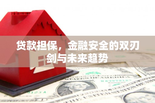 保德贷款担保，金融安全的双刃剑与未来趋势