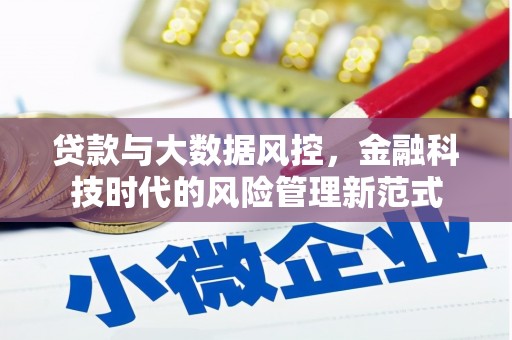 合川贷款与大数据风控，金融科技时代的风险管理新范式