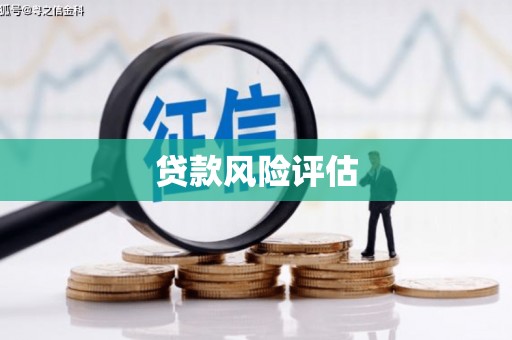 盐津贷款风险评估