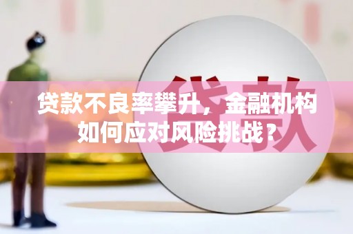 福清贷款不良率攀升，金融机构如何应对风险挑战？