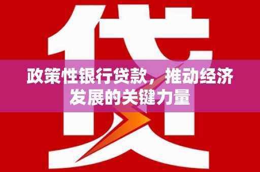 达日政策性银行贷款，推动经济发展的关键力量