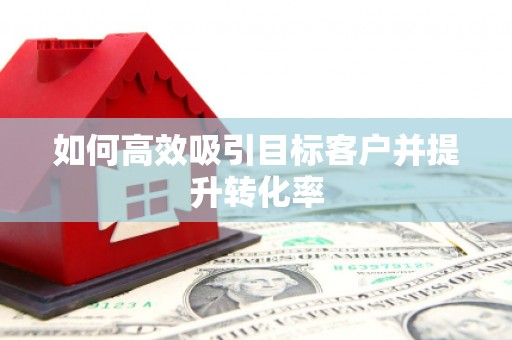 德州如何高效吸引目标客户并提升转化率