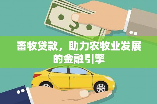 路环岛畜牧贷款，助力农牧业发展的金融引擎