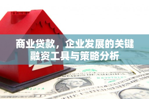 理县商业贷款，企业发展的关键融资工具与策略分析