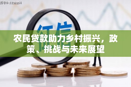 湖里农民贷款助力乡村振兴，政策、挑战与未来展望