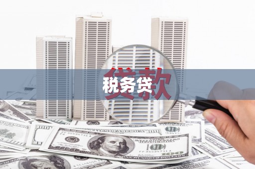 广河税务贷