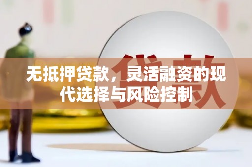 嘉禾无抵押贷款，灵活融资的现代选择与风险控制