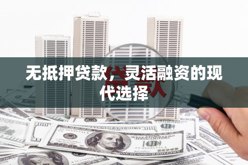 尼玛无抵押贷款，灵活融资的现代选择