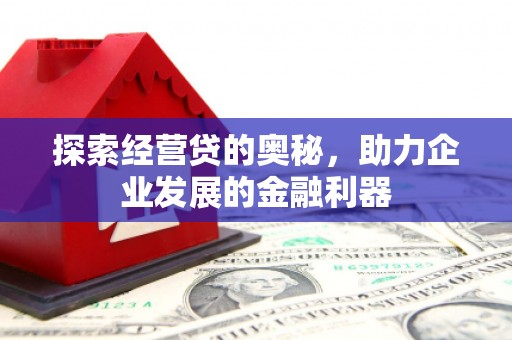 新界探索经营贷的奥秘，助力企业发展的金融利器