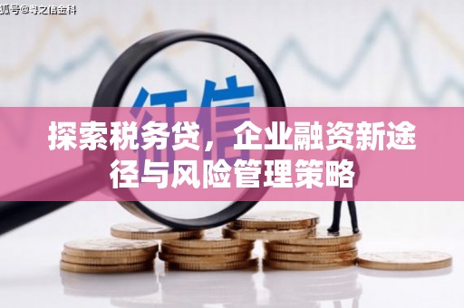 抚远探索税务贷，企业融资新途径与风险管理策略