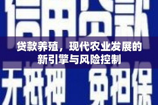根河贷款养殖，现代农业发展的新引擎与风险控制