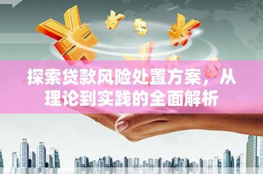 民权探索贷款风险处置方案，从理论到实践的全面解析