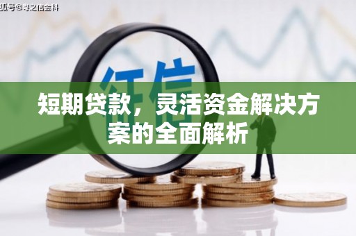 鹿港短期贷款，灵活资金解决方案的全面解析