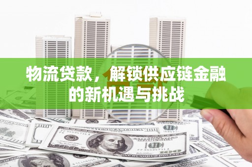 浦东物流贷款，解锁供应链金融的新机遇与挑战
