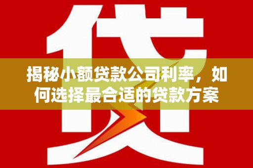 晋州揭秘小额贷款公司利率，如何选择最合适的贷款方案