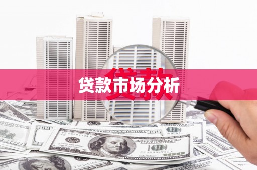 金秀贷款市场分析
